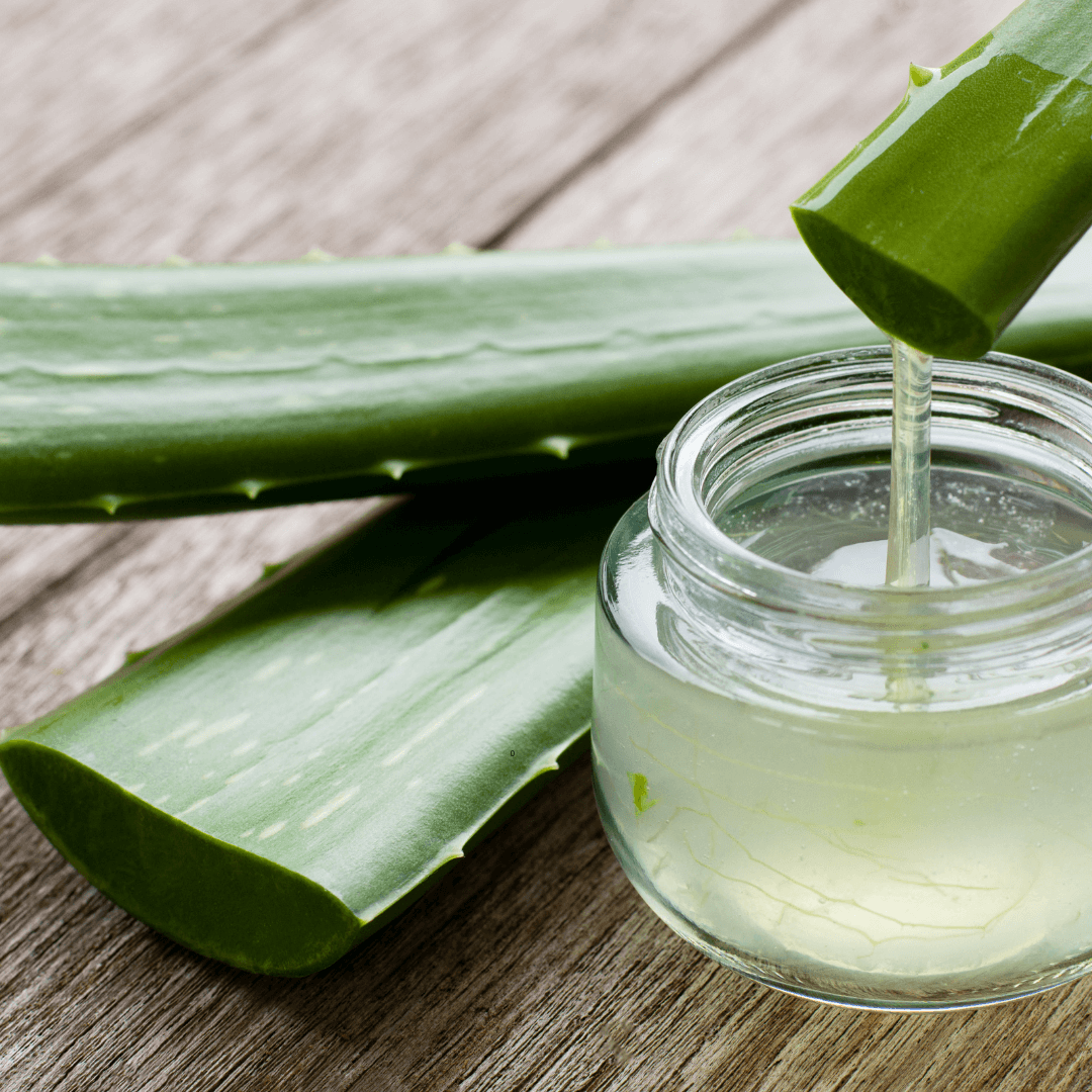 Aloe-Vera-Le-Trésor-Naturel-pour-des-Cheveux-Sublimes-et-une-Peau-Rayonnante Kanel Naturel